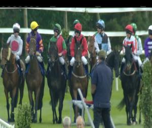 Video preview image for Killarney 17:05 - Irish Examiner Handicap Chase (0-102)