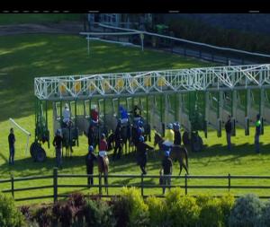 Video preview image for Killarney 18:20 - Irish Stallion Farms EBF Median Auction Fillies Race