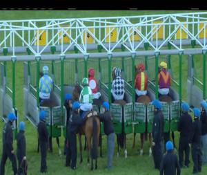 Video preview image for Killarney 20:20 - July Racing Festival 17Th-20th 2017 Race