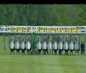 Video preview image for Killarney 20:50 - Killarney Racecourse Handicap (50-80)