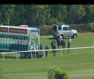 Video preview image for Leopardstown 14:10 - Ard Glen Construction Amethyst Stakes (Group 3)