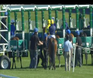 Video preview image for Leopardstown 17:05 - Crew Of R116 Memorial & Irish Coastguard Maiden
