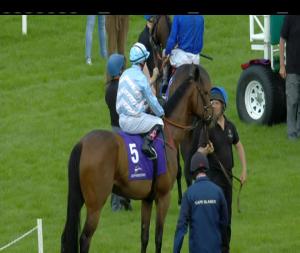 Video preview image for Leopardstown 19:05 - Seamus & Rosemary McGrath Memorial Saval Beg Stakes (Listed)