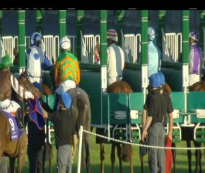 Video preview image for Leopardstown 20:05 - Leopardstown Handicap