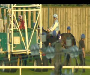 Video preview image for Leopardstown 21:05 - Irish Stallion Farms EBF Fillies Handicap