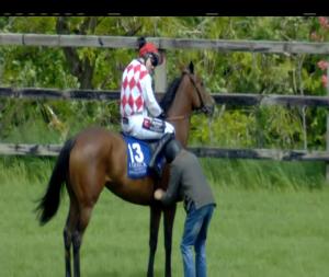 Video preview image for Limerick 14:25 - 4 Of Us Play Live At Limerick Racecourse June 23rd Mares Maiden Hurdle