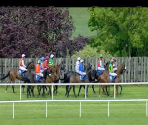 Video preview image for Limerick 15:35 - Liam Hogan Memorial Beginners Chase