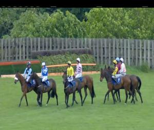 Video preview image for Limerick 16:05 - Irish Stallion Farms EBF Mares Chase