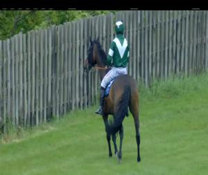 Video preview image for Limerick 16:35 - Follow Limerick Racecourse On Facebook Handicap Chase (0-109)