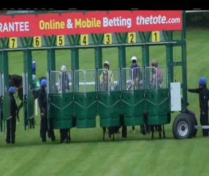 Video preview image for Navan 15:00 - Irish Stallion Farms EBF Maiden
