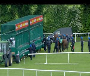 Video preview image for Navan 17:15 - navanadventuresports.ie and Multiactivity Park Handicap (45-65)