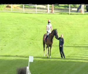 Video preview image for Punchestown 19:15 - Kildare Hunt Club Maiden Hurdle