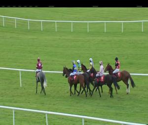 Video preview image for Punchestown 19:15 - La Touche Restaurant Rated Novice Hurdle