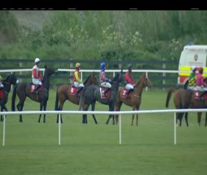 Video preview image for Punchestown 19:45 - Punchestown For Events Maiden Hurdle