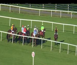 Video preview image for Punchestown 19:45 - Adare Manor Opportunity Maiden Hurdle
