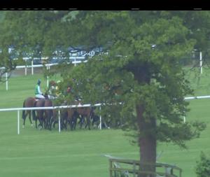 Video preview image for Punchestown 20:15 - punchestown.com Handicap Hurdle (80-102)