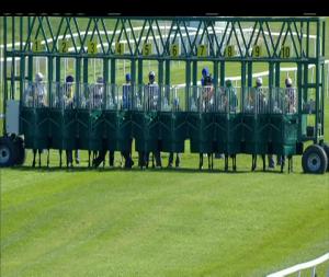 Video preview image for Roscommon 17:30 - Roscommon Handicap