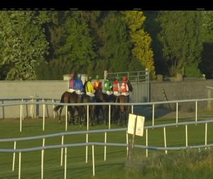 Video preview image for Roscommon 20:30 - Boyle Beginners Chase