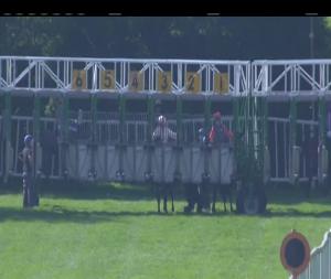 Video preview image for Tipperary 17:40 - Irish Stallion Farms EBF Maiden