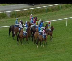 Video preview image for Tipperary 18:40 - Point To Point Evening At Tipperary Handicap Chase (0-116)