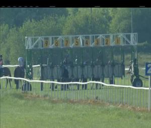 Video preview image for Tipperary 18:40 - Irish Stallion Farms EBF Maiden