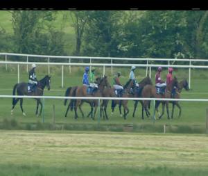 Video preview image for Tipperary 19:10 - Kedrah House Stud 'Well Chosen' Beginners Chase