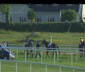 Video preview image for Tipperary 19:15 - Irish Stallion Farms EBF Fillies Handicap