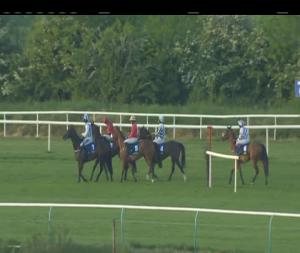 Video preview image for Tipperary 20:50 - Tipperary Mares (Pro/Am) Flat Race
