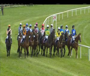 Video preview image for Wexford 15:00 - Monbeg Stables Donnacha Doyle Racing Ltd. Supporting Wexford Camogie Mares Maiden Hurdle