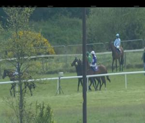 Video preview image for Wexford 15:30 - Casey Enterprises Supporting Wexford Camogie Rated Hurdle