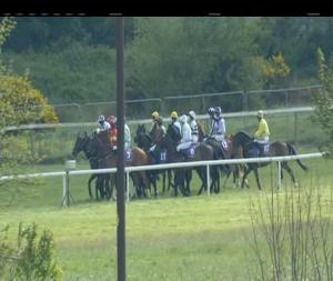 Video preview image for Wexford 16:05 - Denis Murphy Racing & Msk Silversands Supporting Wexford Camogie Handicap Hurdle (80-95) (Div 1)