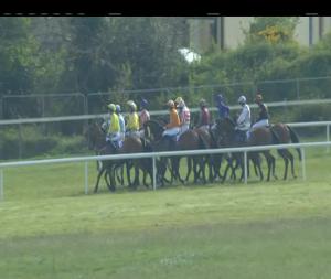 Video preview image for Wexford 16:40 - Treacys Hotel Enniscorthy Supporting Wexford Camogie Handicap Hurdle (80-95) (Div 2)