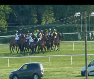 Video preview image for Wexford 17:10 - Jennifer & Gillian Keirns Supporting Wexford Camogie Handicap Hurdle