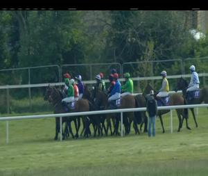 Video preview image for Wexford 17:45 - Irish Stallion Farms EBF Mares Flat Race