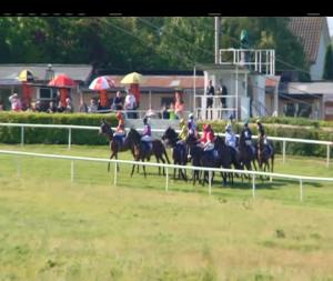 Video preview image for Wexford 18:00 - Welcome To Wexford Racecourse Maiden Hurdle