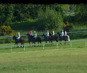 Video preview image for Wexford 19:00 - Slaney Handicap Hurdle