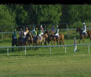 Video preview image for Wexford 19:30 - Loch Garman Handicap Hurdle (80-95)