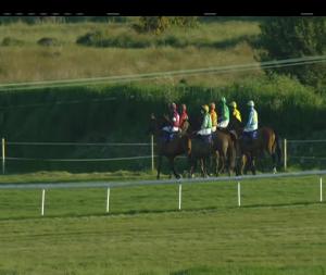 Video preview image for Wexford 20:00 - Vinegar Hill Beginners Chase