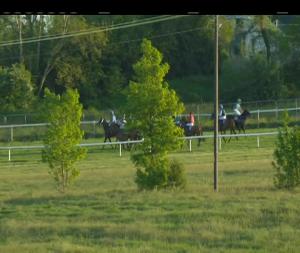 Video preview image for Wexford 20:30 - Irish Stallion Farms EBF Handicap Chase