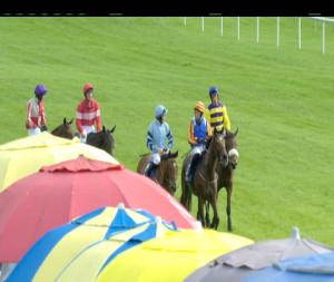 Video preview image for Ballinrobe 17:30 - Tuam Herald Maiden Hurdle 