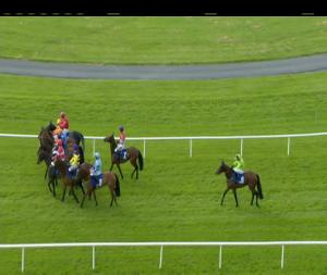 Video preview image for Ballinrobe 18:00 - Sheridan Electric Hurdle 