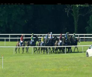 Video preview image for Ballinrobe 18:00 - Mchale F5500 Baler Maiden Hurdle 