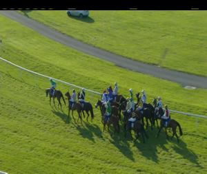 Video preview image for Ballinrobe 19:00 - Mchale Centre Delivery Rake Range Handicap Hurdle 
