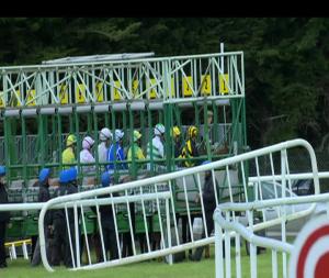 Video preview image for Clonmel 17:30 - St. Patrick's Well Claiming 