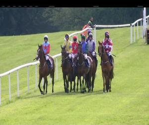 Video preview image for Clonmel 17:55 - Clonmel Racecourse Supporters Club Guest Evening Rated Novice Hurdle
