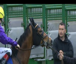 Video preview image for Clonmel 18:30 - Camida Pia Handicap 
