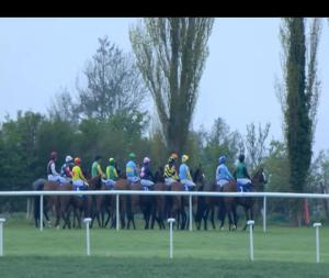 Video preview image for Clonmel 20:00 - Camida Annie Handicap 