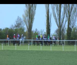 Video preview image for Clonmel 20:30 - Camida (Q.R.) Maiden 