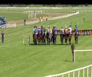 Video preview image for Cork 17:20 - Irish Stallion Farms European Breeders Fund Mares Maiden Hurdle