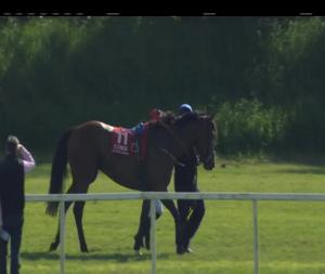 Video preview image for Cork 17:25 - Cork Racecourse Handicap (Div 1)